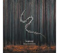Lunatic Soul - Through Shaded Woods