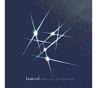 Lunatic Soul - Walking On A Flashlight Beam
