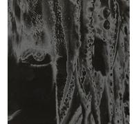 Lunch, Lydia - Crimes Against Nature