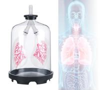 Lung Breathing Model - Diaphragm Movement Simulation Demonstrator for Biology Education and Classroom Use