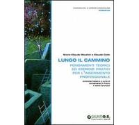 Lungo il cammino. Fondamenti teorici ed esercizi pratici per l'inserimento professionale