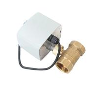 LUNMENGCC Valvola a sfera elettrica in ottone da 1/2 "3/4" 1" 2 "Big Torque 220V 12V 24V Three-Wire Two Control Valvola a sfera motorizzata