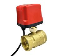 LUNMENGCC Valvola a sfera motorizzata impermeabile DN15 DN20 DN25 DN40 IP65 Valvola a sfera elettrica in ottone Motore in metallo a coppia grande Valvola a sfera elettrica a 3 fili o 2 fili