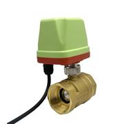 LUNMENGCC Valvola a sfera motorizzata impermeabile DN15 DN20 DN25 DN50 IP65 Valvola a sfera elettrica in ottone a 3 fili o 2 fili