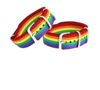 Lunpoem 2 PCS Bracciale Arcobaleno lgbt con Fibbia Regolabile, Braccialetti Intrecciati Colorati Pride per Coppie, Accessori Gay Pride Lesbian Queer, Regalo Inclusione e Diversità