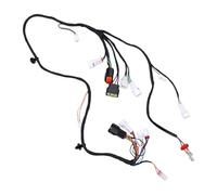 Luocute Cablaggio Principale ATV per Z400 2005-2008 | OE 36610-07G30, Connettori Impermeabili, Filo Isolato Ad Alta Temperatura, Fuoristrada, Sostituzione Senza Tagli o Saldature