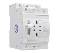 Luocute Interruttore di Trasferimento Automatico a Doppia Potenza, 50/60Hz 63A 2p Din Rail ATS Interruttore di Trasferimento di Potenza, Adatto per il Centro Commerciale, la Casa, la