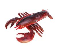 Luocute Modello di Aragosta in Plastica Morbida, Frutti di Mare (23 cm) | Realistici Materiale Sicuro, Superficie Liscia, Dimensioni 9,06/11,81 Pollici, Ristorante Educativo per la Cognizione degli