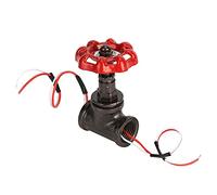 Luocute Steampunk G1/2in Rubinetto di Arresto con Interruttore e Filo | Interruttore per lampada retrò per tubi dell\'acqua, valvola vintage in ferro per lampada da tavolo, 3A 120V o 5A 12V