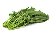 Luojuny Ipomoea Aquatica Semi d'innaffiatura Media annuale Eccellente Produzione Acqua Semi di Spinaci per la Semina