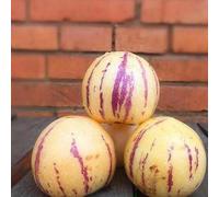 Luojuny Semi di Melone Pepino, 30 Pezzi/Borsa Semi di Melone Pepino Non OGM Easy Care Nutriente Muricatum Aiton Semi Semi di Frutta Ginseng per Giardino Semi di Melone Pepino