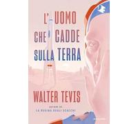 L'uomo che cadde sulla terra