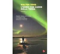 L'uomo che cadde sulla terra