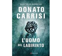 L'uomo del labirinto