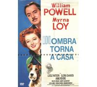 L'uomo ombra torna a casa - DVD