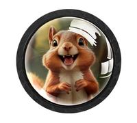 Luoweisi 4 pomelli rotondi per armadietti a scoiattolo, pomelli rotondi per cassettiera, maniglie per comò a foro singolo, per decorare la casa della cucina, armadio, armadio