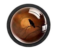 Luoweisi 4 pomelli rotondi per cassetti a forma di corvo e luna, per Halloween, maniglie per cassettiera, maniglie per comò a foro singolo, per cucina, decorazione domestica, armadio, armadio