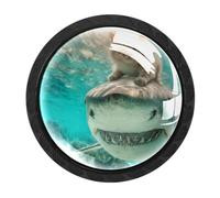 Luoweisi 4 pomelli rotondi per cassetti e cassettiere con gatto che cavalca lo squalo, maniglie per comò a foro singolo, per cucina, decorazione della casa, armadio, armadio