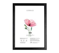 Lupia - Cornice portafoto in Legno da Parete Kronos Nera, per Stampe, pergamene diplomi, Poster, Quadri Moderni 25x35 cm