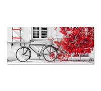 Lupia Quadro Moderno con stampa su tela materica a rilievo Bicicletta con fiori rossi PICTURES Bike Bouganville Red 52X122 cm