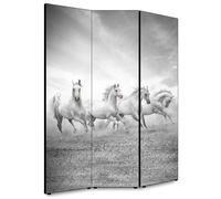 Lupia - Separe' per interni, Divisorio 135,6 x H 176 x P 3,1 cm FOUR HORSES para