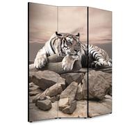 Lupia - Separe' per interni, Divisorio 135,6 x H 176 x P 3,1 cm TIGRE paravento