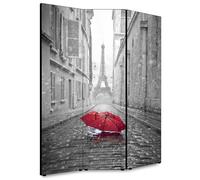 Lupia - Separe' per interni, Divisorio 135,6 x H 176 x P 3,1 PARAPLUIE A PARIS