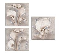 Lupia - Set 3 Pezzi Quadri su Tela Tema Floreale Canvas Day Brillant con Glitter 38x38 cm Calle Shabby