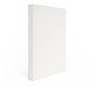 Lupia - Set Tele Gallery Bianche per Pittura | Telaio in Legno di Ayous Leggero e Resistente Spessore 4 cm | Ideale per Artisti e Principianti | 100% Cotone 300 gr/mq, Cotone 40x50 cm - 2 Pezzi