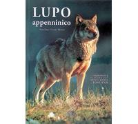 Lupo appenninico. Un'esperienza vissuta sul Monte Amiata in Toscana