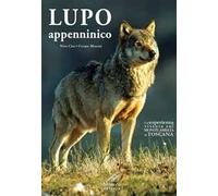 Lupo appenninico. Un'esperienza vissuta sul Monte Amiata in Toscana
