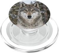 Lupo Primo Piano Ritratto Selvaggio Animale Foresta PopSockets PopGrip per MagSafe