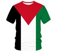 Lurhonp T-shirt casual a maniche corte con bandiera palestinese, Multicolore, 3XL