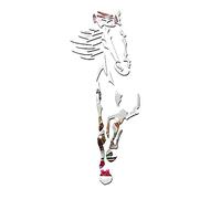 Lurrose arredamento per la casa specchio cavallo Arredamento da parete adesivi decalcomanie specchietto adesivo da parete decorazione murale accessorio artistico da parete Acrilico Argento