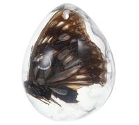 Lurrose Ciondolo in Ambra Naturale a Forma di Farfalla Insetto, Pendente Elegante in Cera D’api per Collezionisti e Decorazione Raffinata per Collane Colore Casuale