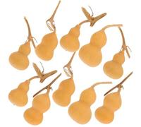 Lurrose Ornamenti di Zucca 10 Pezzi Mini Zucche Naturali 4-6 CM per Decorazioni Tavolo e Centri Commerciali Stile Casuale