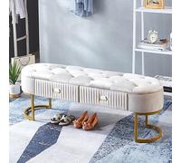 Lussuoso Contenitore Ottoma Bech con Base Golde, Contenitore in Velluto Bech con Cassetti, MOD Ed del Letto Bech Camera da Letto Ottoma Bech con Contenitore, Beige, 47inch(120cm)