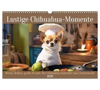 Lustige Chihuahua-Momente (Wandkalender 2026 DIN A3 quer), CALVENDO Monatskalender: Kleine Helden, große Freude. Der Chihuahua-Kalender zum Schmunzeln