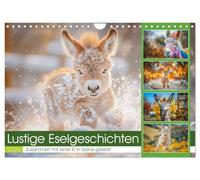 Lustige Eselgeschichten (Wandkalender 2026 DIN A4 quer), CALVENDO Monatskalender: Von ihren eigenwilligen Charakterzügen bis hin zu ihren lustigen ... Begleiter und einer Quelle der Freude macht.