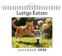 Lustige Katzen: Wandkalender 2026, Kalender DIN A4 quer, Monatskalender im Querformat mit Kalendarium, das perfekte Geschenk