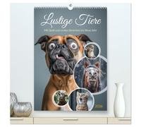 Lustige Tiere (hochwertiger Premium Wandkalender 2026 DIN A2 hoch), Kunstdruck in Hochglanz: Diese bezaubernde Sammlung von Bildern zeigt eine ... Ihnen ein Lächeln ins Gesicht zaubern werden.