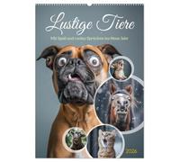 Lustige Tiere (Wandkalender 2026 DIN A2 hoch), CALVENDO Monatskalender: Diese bezaubernde Sammlung von Bildern zeigt eine Vielzahl von niedlichen und ... Ihnen ein Lächeln ins Gesicht zaubern werden.