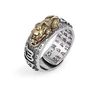 LUTAKU Anello mantra Feng Shui Pixiu per donna uomo misura regolabile buddista buona fortuna amuleto mantra doppia protezione ricchezza amore salute anello regalo, Metallo non prezioso
