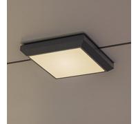Lutec Helena lampada a soffitto 1 luce, LED, 5102101118, Helena [Lampade per Esterni > Lampade a Soffitto]