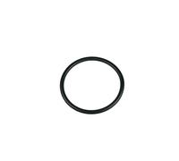 LUTH Premium Profi Parts Anello di tenuta per contenitore di sale compatibile con Bosch 00611915 76 mm di diametro in lavastoviglie