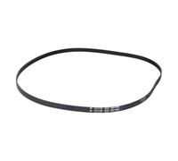 LUTH Premium Profi Parts Cinghia trapezoidale 1231ph8e compatibile con Candy 41003164 per lavatrice