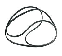 LUTH Premium Profi Parts Cinghia trapezoidale 1904ph7e compatibile con Ignis 481935818156 per asciugatrice