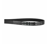 Cinghia Scanalata 1930ph7 Compatibile Con AEG 8996470700601 per Asciugatrice