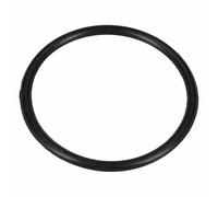 LUTH Premium Profi Parts Compatibile con anello di tenuta Beko, diametro 76 mm, per contenitore di sale 1766470100 in lavastoviglie