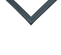 LUTH Premium Profi Parts Guarnizione per porta refrigerante compatibile con Bosch 00242325 in frigorifero